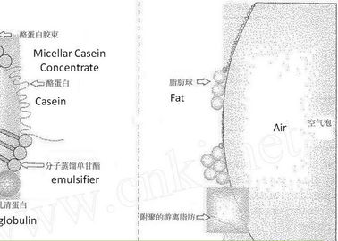 أشكال مسحوق المستنقعات E475 / Finamul PGE 2070 Polyglycerol Esters Of Fatty Acids 20kg كرتون صناعي
